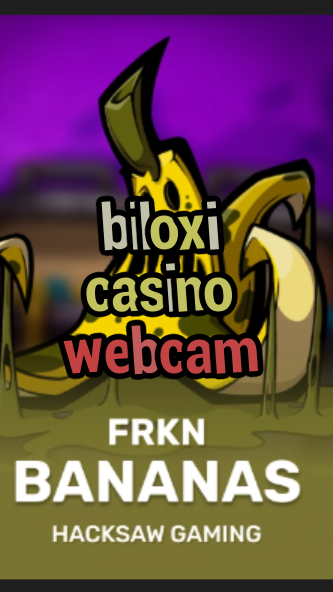 biloxi casino webcam-3xn3u5udepyz9m9w5iat.com